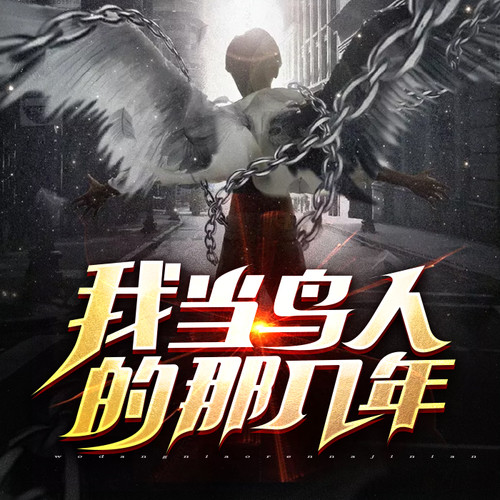 我当鸟人的那几年__第20集 瀛洲的岁月(上)